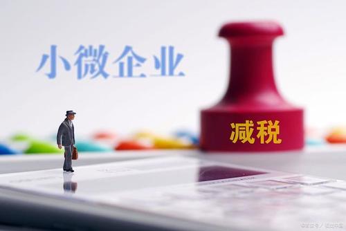 至年底，山東免除個(gè)體工商戶(hù)和小微企業(yè)免一切稅費